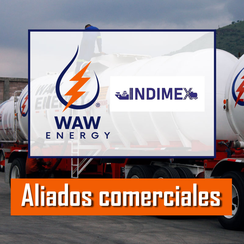 indemex-b