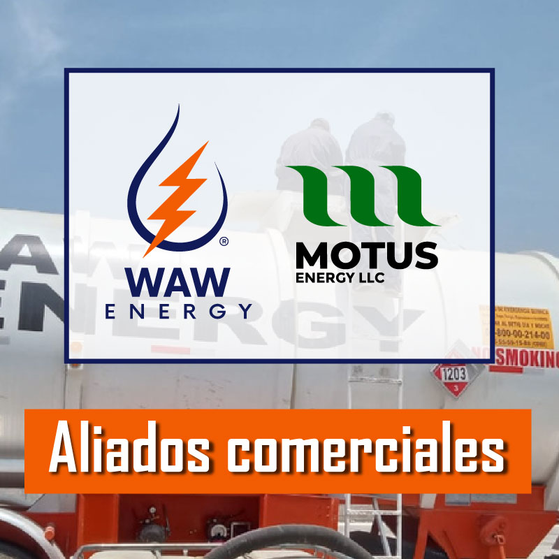 motus-b