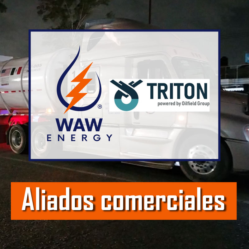 triton-b